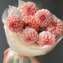 7 персиковых георгин фото 3